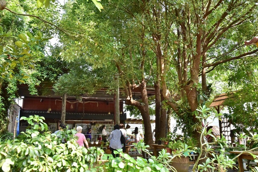 苗栗公館鄉｜當慶，Hakka好味緒 廚藝體驗