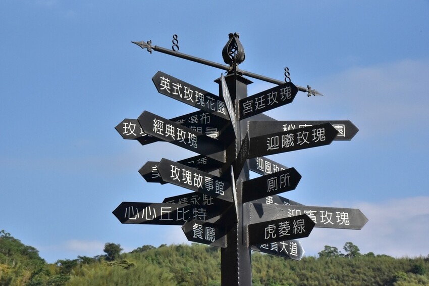 苗栗頭屋鄉|雅聞七里香玫瑰森林 依山型建造為主題的玫瑰花園 雅聞觀光工廠玫瑰季 全台五館免門票免費開放入園|西莉亞玩樂人生 苗栗頭屋鄉|雅聞七里香玫瑰森林 唯一 雅聞觀光工廠