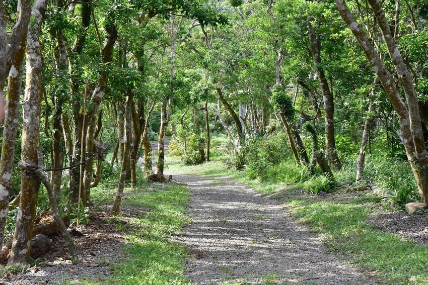 屏東牡丹鄉｜高士社區發展協會 高士部落 野牡丹神社紀念公園導