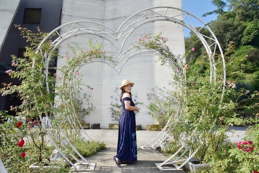 苗栗頭屋鄉|雅聞七里香玫瑰森林 依山型建造為主題的玫瑰花園 雅聞觀光工廠玫瑰季 全台五館免門票免費開放入園|西莉亞玩樂人生 苗栗頭屋鄉|雅聞七里香玫瑰森林 唯一 雅聞觀光工廠