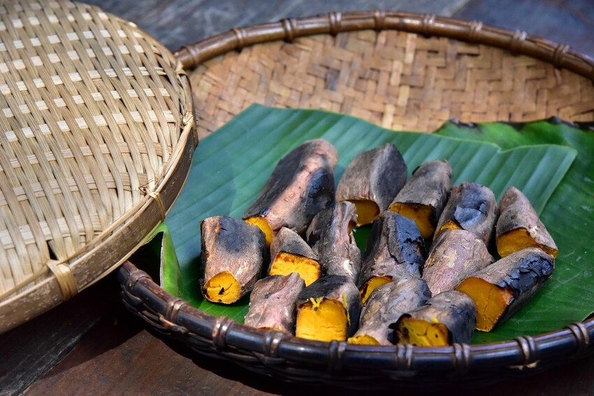 南投魚池鄉|九族文化村 部落花季-秋之盛典 部落花園巡禮 秋