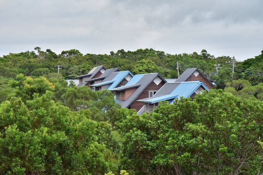屏東牡丹鄉｜高士社區發展協會 高士部落 野牡丹神社紀念公園導