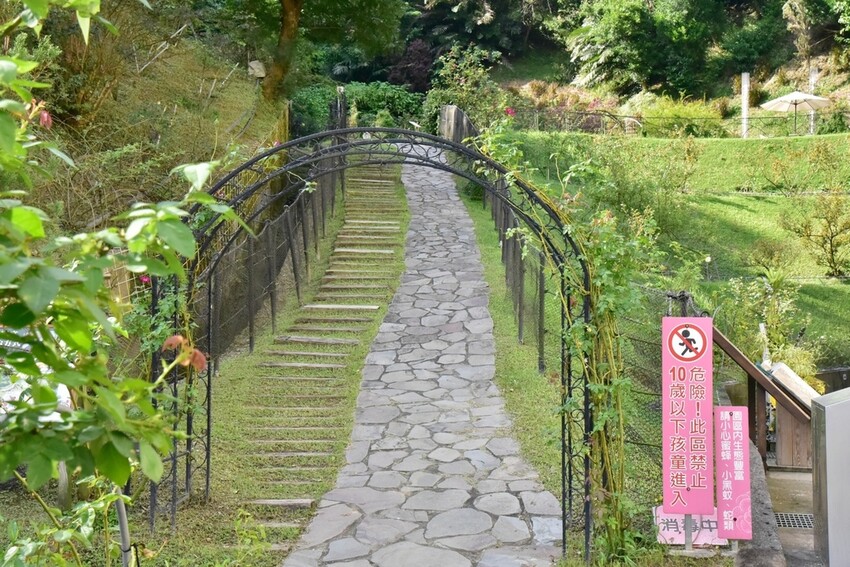 苗栗頭屋鄉|雅聞七里香玫瑰森林 依山型建造為主題的玫瑰花園 雅聞觀光工廠玫瑰季 全台五館免門票免費開放入園|西莉亞玩樂人生 苗栗頭屋鄉|雅聞七里香玫瑰森林 唯一 雅聞觀光工廠