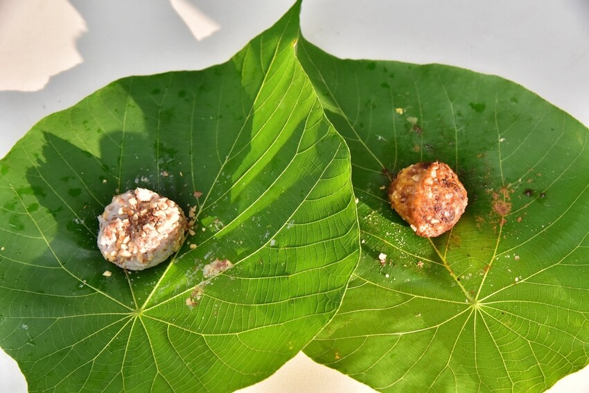 屏東來義鄉｜走讀二峰圳導覽 喜樂發發吾公園 手作體驗-排灣族