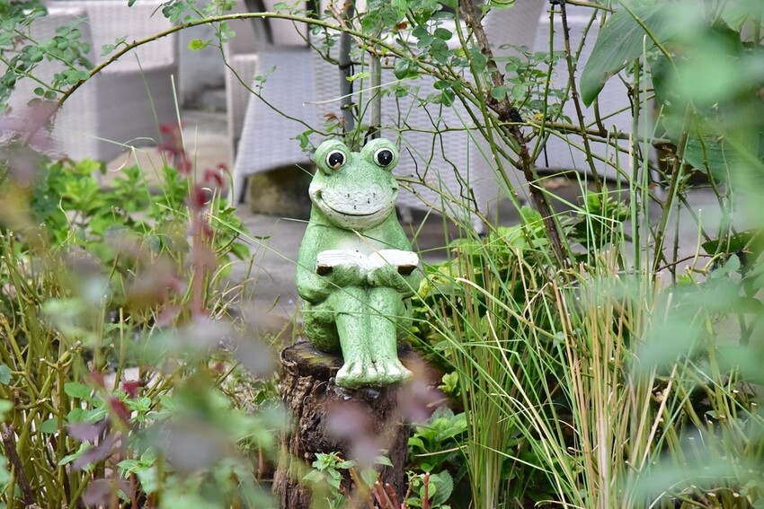 苗栗頭屋鄉|雅聞七里香玫瑰森林 依山型建造為主題的玫瑰花園 雅聞觀光工廠玫瑰季 全台五館免門票免費開放入園|西莉亞玩樂人生 苗栗頭屋鄉|雅聞七里香玫瑰森林 唯一 雅聞觀光工廠