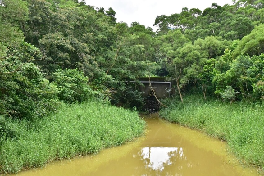 屏東牡丹鄉｜高士社區發展協會 高士部落 野牡丹神社紀念公園導
