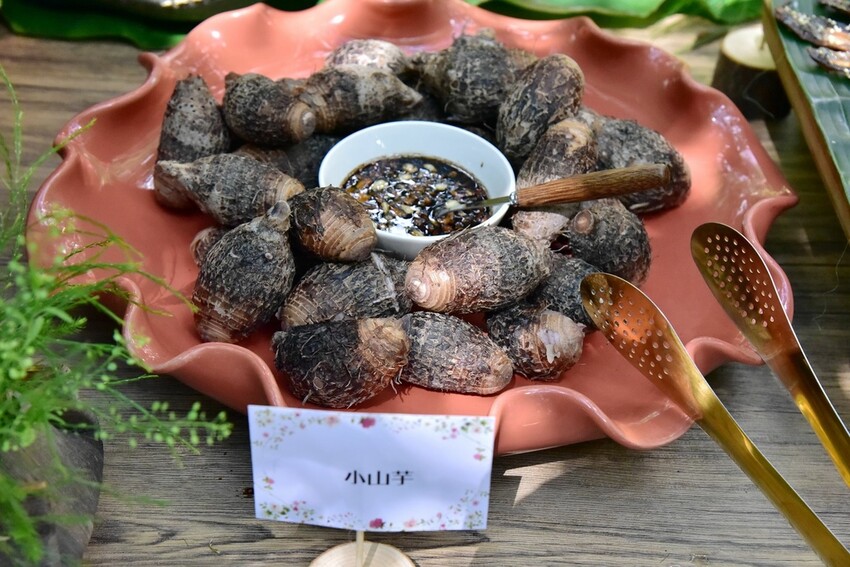 南投魚池鄉|九族文化村 部落花季-秋之盛典 部落花園巡禮 秋