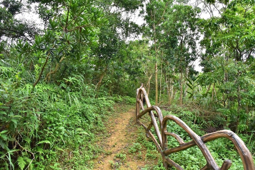 屏東牡丹鄉｜高士社區發展協會 高士部落 野牡丹神社紀念公園導
