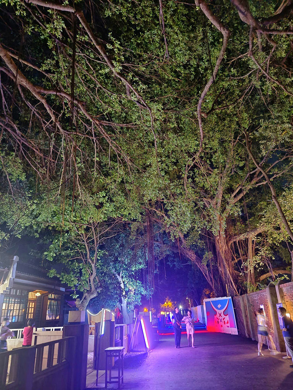 台南市北區2024台灣文博會台南概念展區,來321巷藝術聚落找巷仔Niau