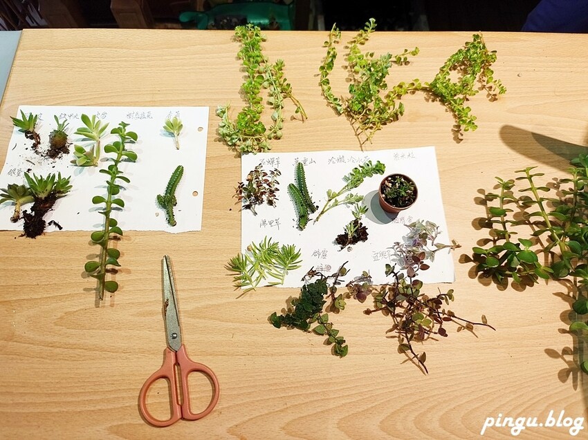 台中市龍井區台中一日遊｜探索東海藝術街 森蜜生活市集與MISTER手作皮件的創意之旅