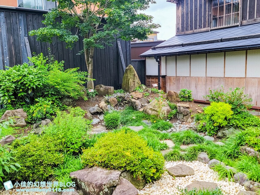 日本[秋田旅遊]舊松倉家住宅/近距離欣賞秋田美人舞妓表演/文化價值與傳統藝術的完美結合
