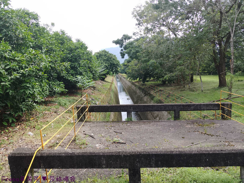 高雄市六龜區高雄旅遊│客庄山城趣│騎乘電輔車逛新威森林公園.六龜傳統辦桌菜+老街巡禮+檨仔腳DIY窯烤麵包.入住寶來