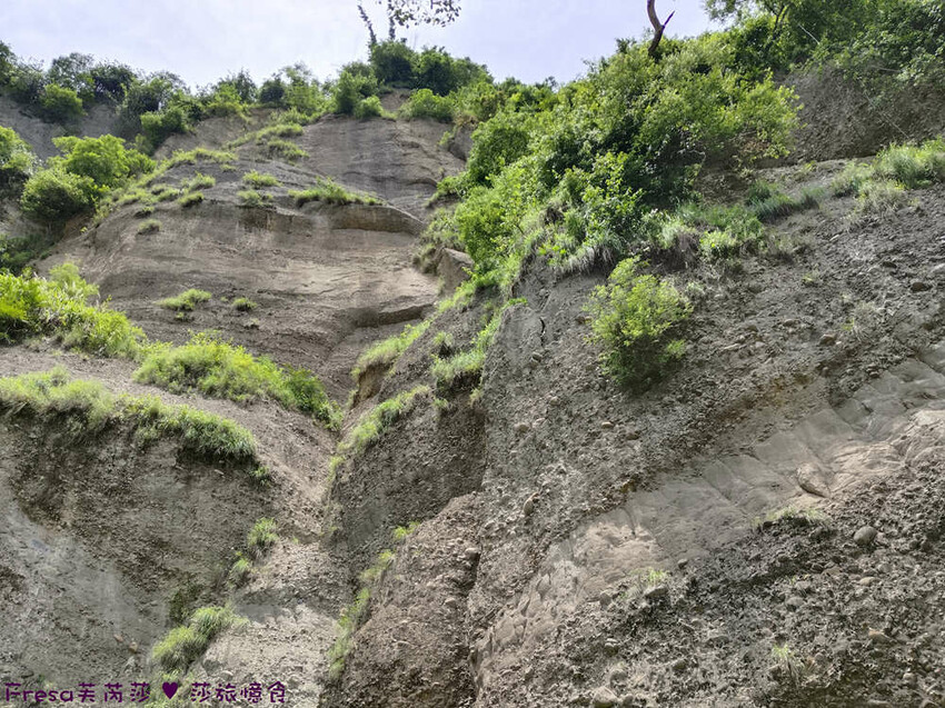 高雄市六龜區高雄旅遊│客庄山城趣│騎乘電輔車逛新威森林公園.六龜傳統辦桌菜+老街巡禮+檨仔腳DIY窯烤麵包.入住寶來