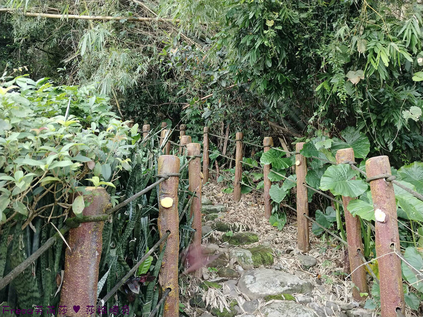 高雄市六龜區高雄旅遊│客庄山城趣│騎乘電輔車逛新威森林公園.六龜傳統辦桌菜+老街巡禮+檨仔腳DIY窯烤麵包.入住寶來