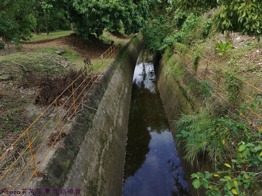 高雄市六龜區高雄旅遊│客庄山城趣│騎乘電輔車逛新威森林公園.六龜傳統辦桌菜+老街巡禮+檨仔腳DIY窯烤麵包.入住寶來