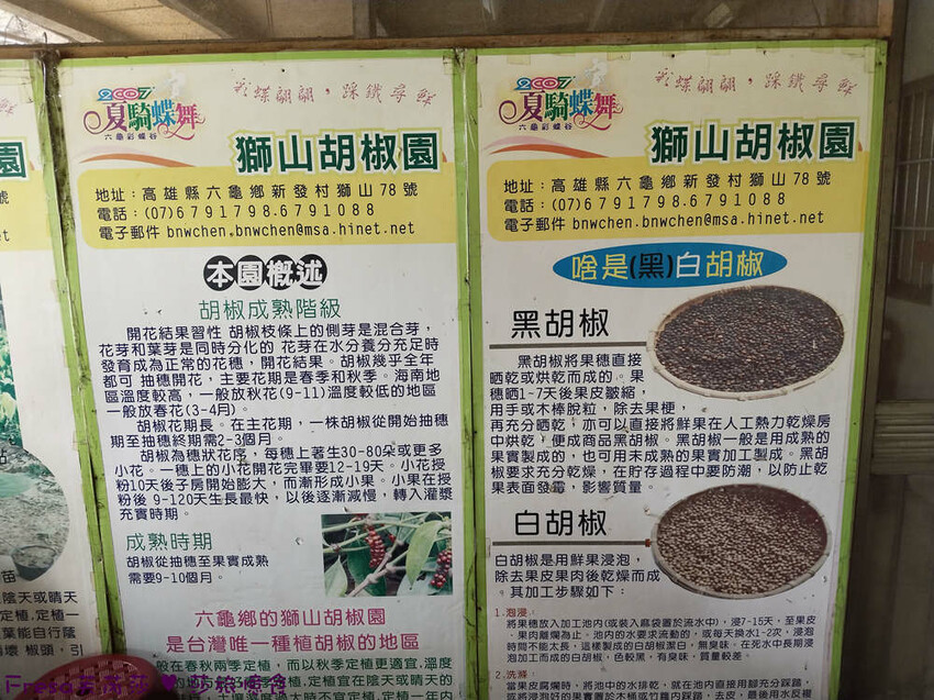 高雄市六龜區高雄旅遊│客庄山城趣│騎乘電輔車逛新威森林公園.六龜傳統辦桌菜+老街巡禮+檨仔腳DIY窯烤麵包.入住寶來