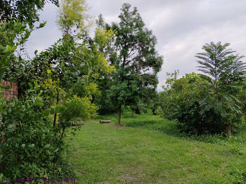 高雄市六龜區高雄旅遊│客庄山城趣│騎乘電輔車逛新威森林公園.六龜傳統辦桌菜+老街巡禮+檨仔腳DIY窯烤麵包.入住寶來