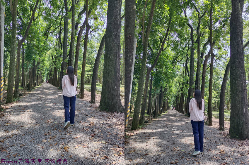 高雄市六龜區高雄旅遊│客庄山城趣│騎乘電輔車逛新威森林公園.六龜傳統辦桌菜+老街巡禮+檨仔腳DIY窯烤麵包.入住寶來