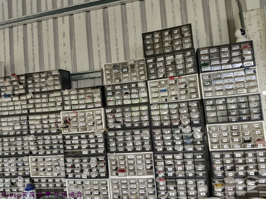 高雄市六龜區高雄旅遊│客庄山城趣│騎乘電輔車逛新威森林公園.六龜傳統辦桌菜+老街巡禮+檨仔腳DIY窯烤麵包.入住寶來