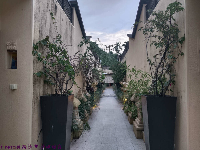 高雄市六龜區高雄旅遊│客庄山城趣│騎乘電輔車逛新威森林公園.六龜傳統辦桌菜+老街巡禮+檨仔腳DIY窯烤麵包.入住寶來