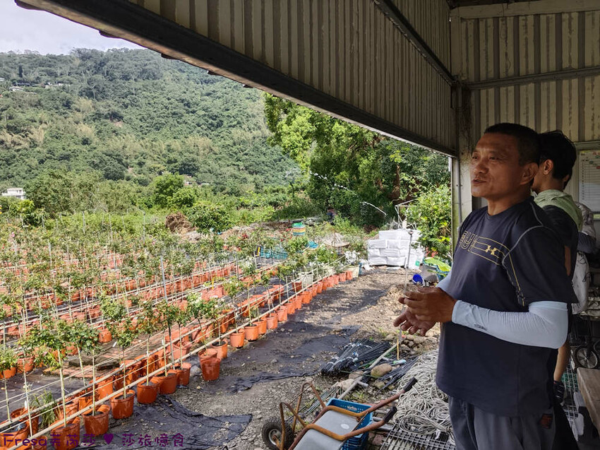 高雄市六龜區高雄旅遊│客庄山城趣│騎乘電輔車逛新威森林公園.六龜傳統辦桌菜+老街巡禮+檨仔腳DIY窯烤麵包.入住寶來
