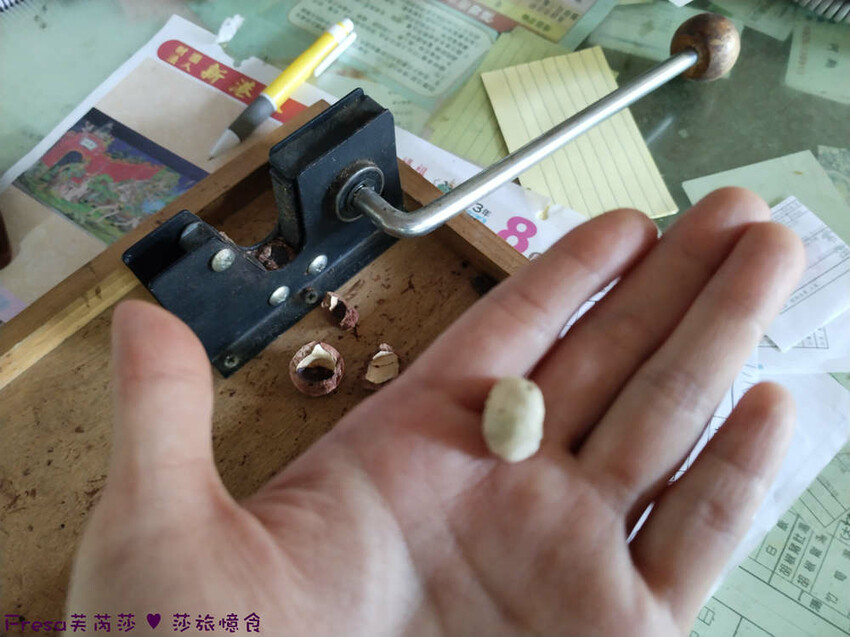 高雄市六龜區高雄旅遊│客庄山城趣│騎乘電輔車逛新威森林公園.六龜傳統辦桌菜+老街巡禮+檨仔腳DIY窯烤麵包.入住寶來