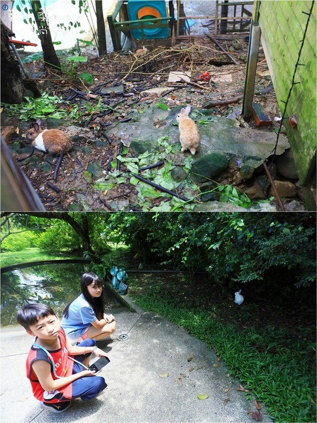 南投縣竹山鎮南投竹山|忘憂天空渡假村-一泊二食竹筒飯甕烤雞.烤肉包區.樹屋水管屋海盜船屋.兔子遊樂園.酒吧.山上住宿|體