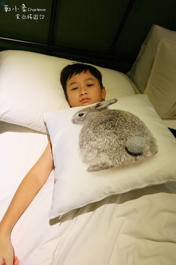 南投縣竹山鎮南投竹山|忘憂天空渡假村-一泊二食竹筒飯甕烤雞.烤肉包區.樹屋水管屋海盜船屋.兔子遊樂園.酒吧.山上住宿|體