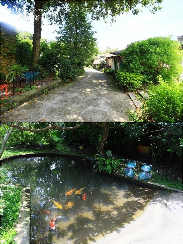 南投縣竹山鎮南投竹山|忘憂天空渡假村-一泊二食竹筒飯甕烤雞.烤肉包區.樹屋水管屋海盜船屋.兔子遊樂園.酒吧.山上住宿|體