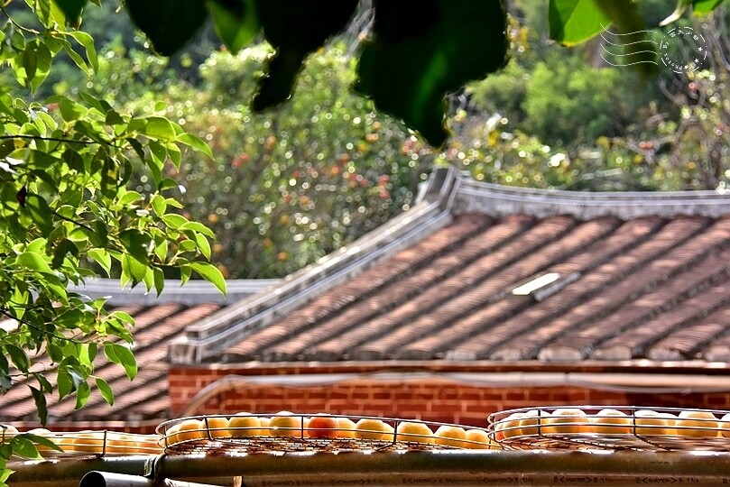 金漢柿餅教育農園