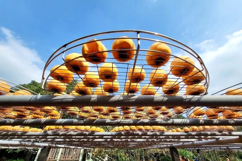 金漢柿餅教育農園