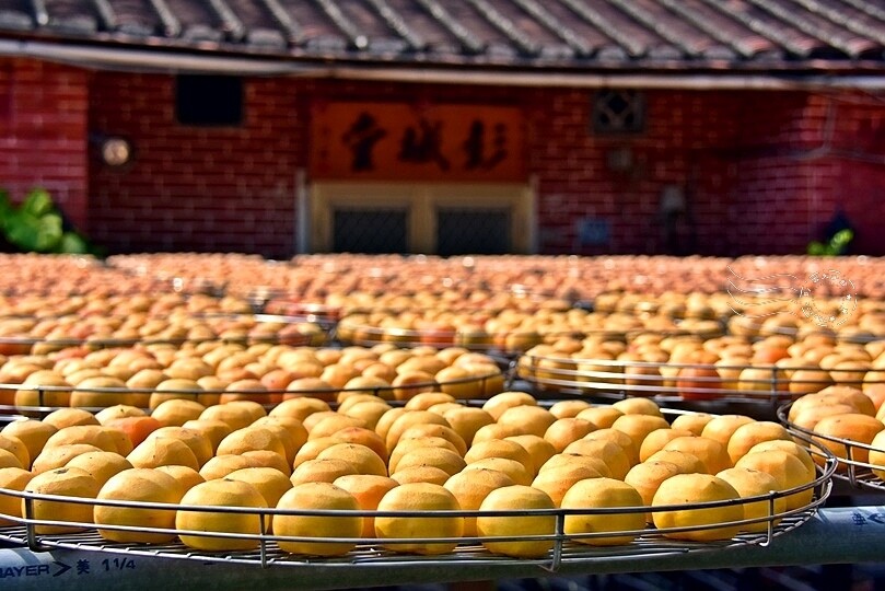 金漢柿餅教育農園