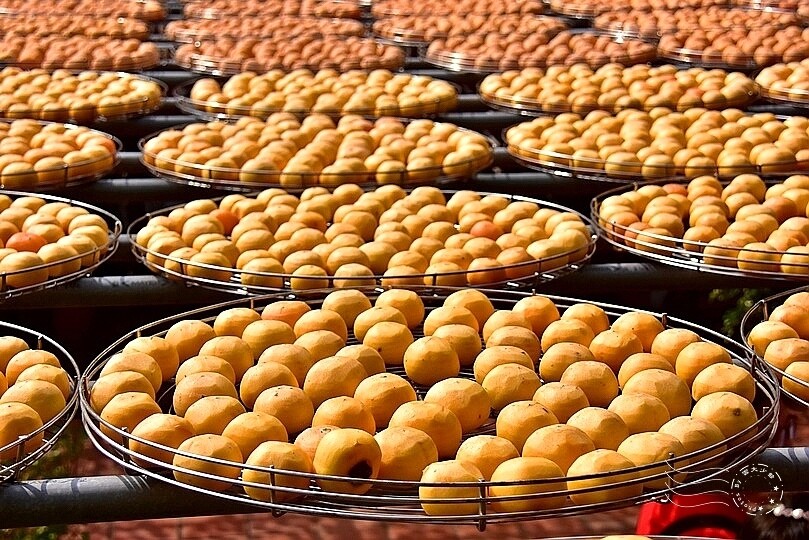 金漢柿餅教育農園