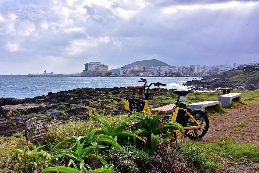 濟州島【西海岸路】海岸線