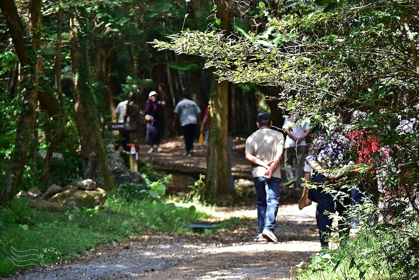濟州島西歸浦【治癒之森】