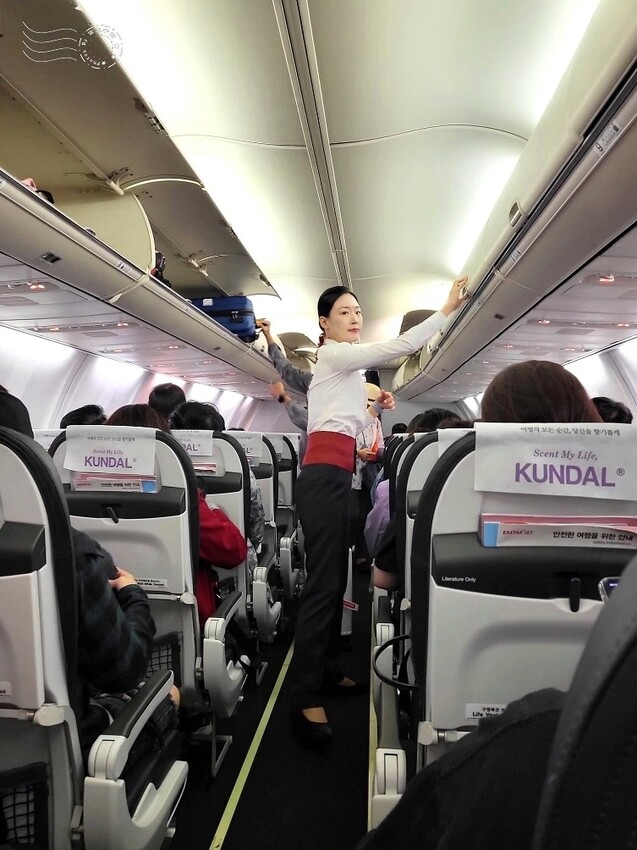 易斯達航空經濟艙