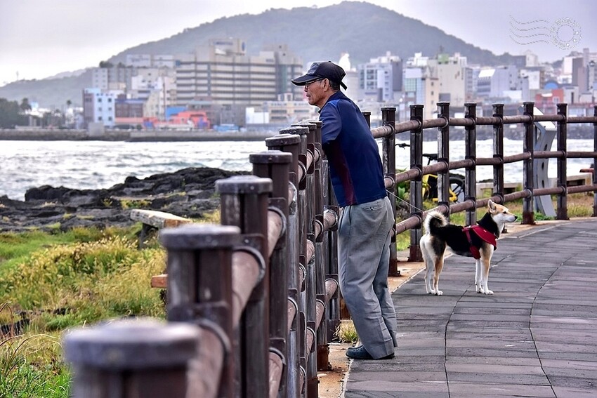 濟州島【西海岸路】海岸線