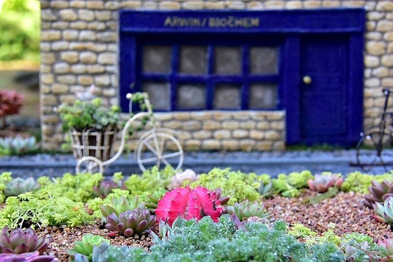 【雅聞魅力博覽館】裝置藝術