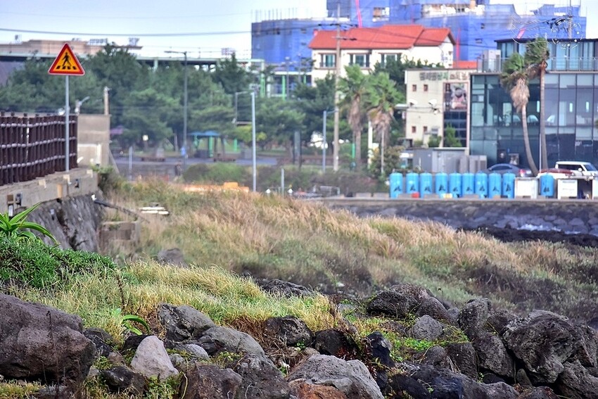 濟州島【西海岸路】海岸線