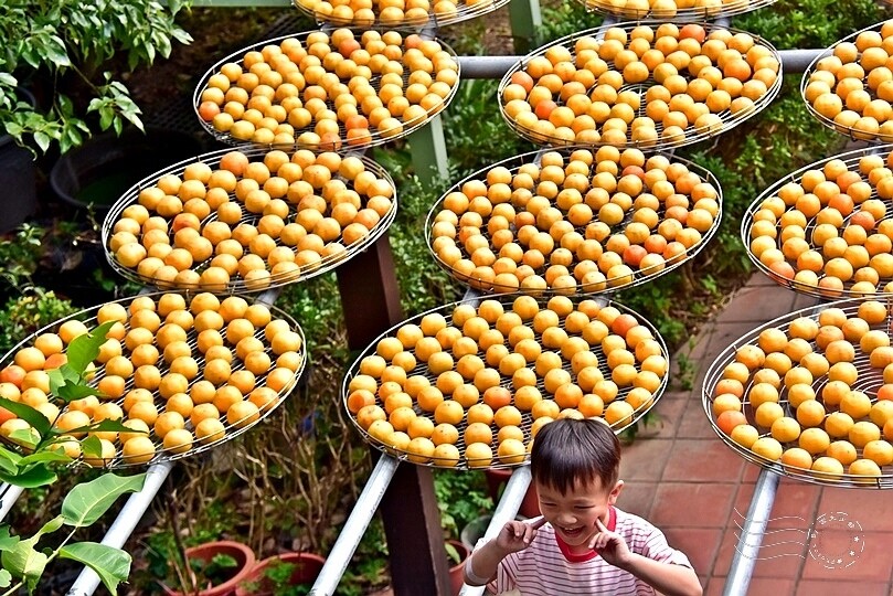 金漢柿餅教育農園