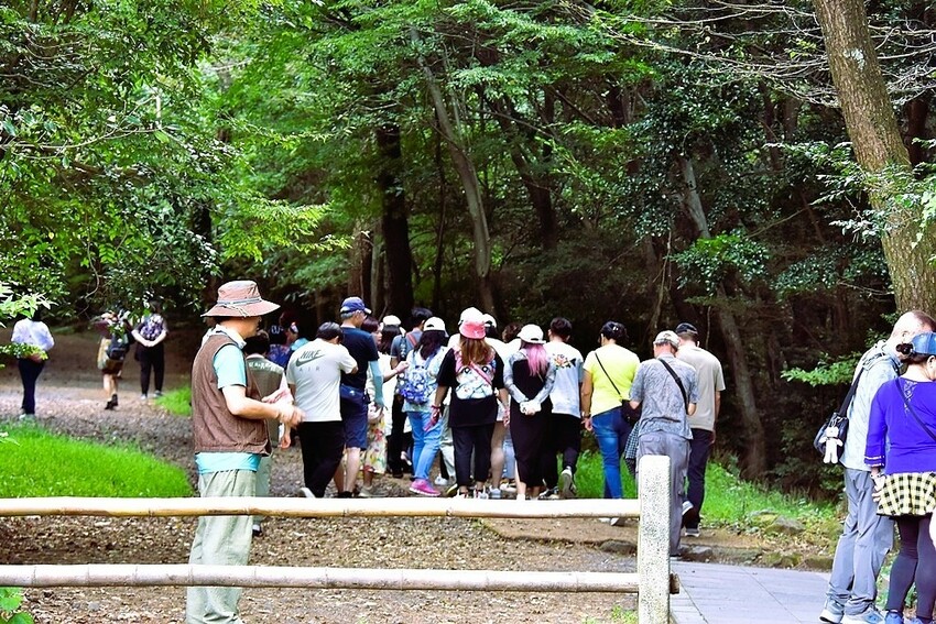 濟州島西歸浦【治癒之森】