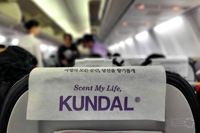 易斯達航空經濟艙