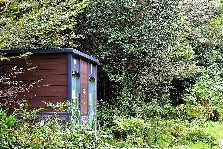 濟州島西歸浦【治癒之森】