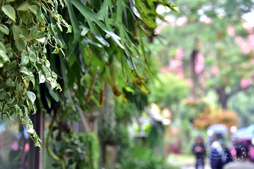 【雅聞魅力博覽館】