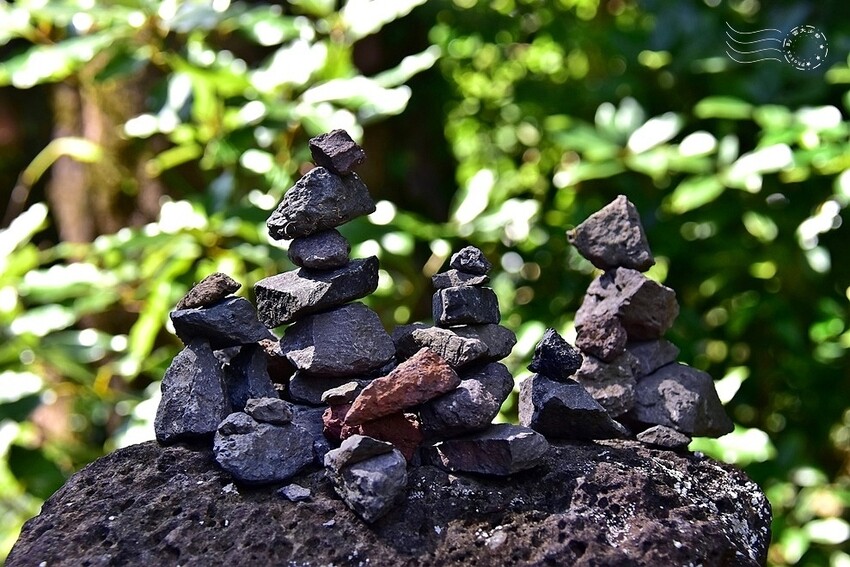 濟州島西歸浦【治癒之森】