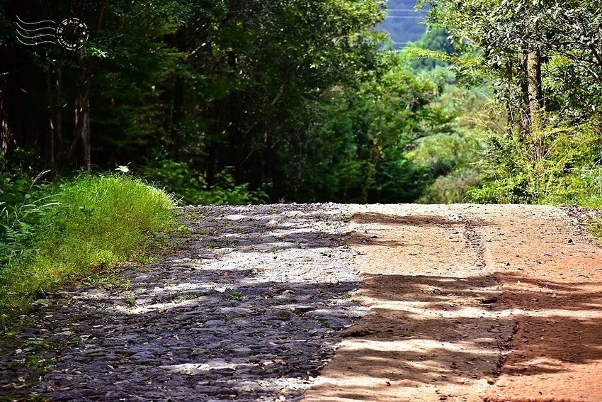 濟州島西歸浦【治癒之森】