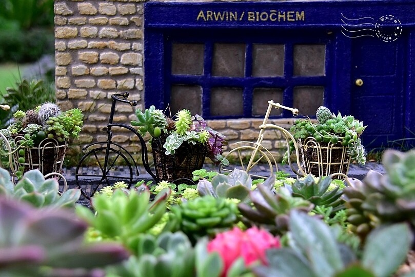 【雅聞魅力博覽館】裝置藝術