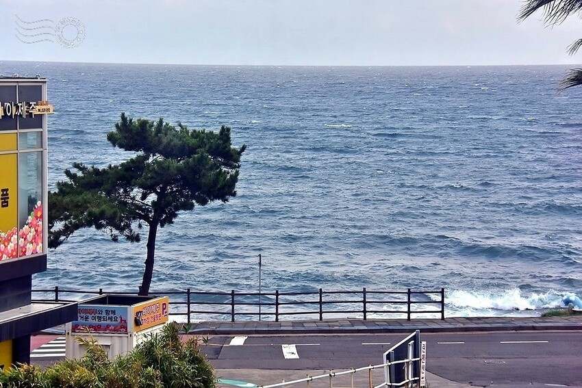 濟州島【西海岸路】海岸線