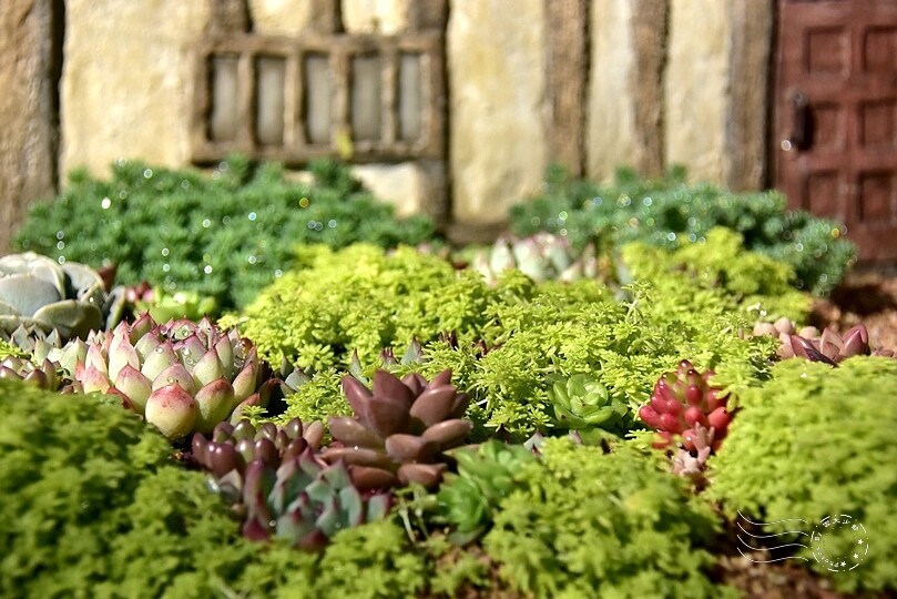 【雅聞魅力博覽館】裝置藝術