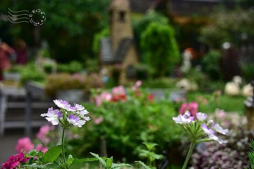 【雅聞魅力博覽館】裝置藝術